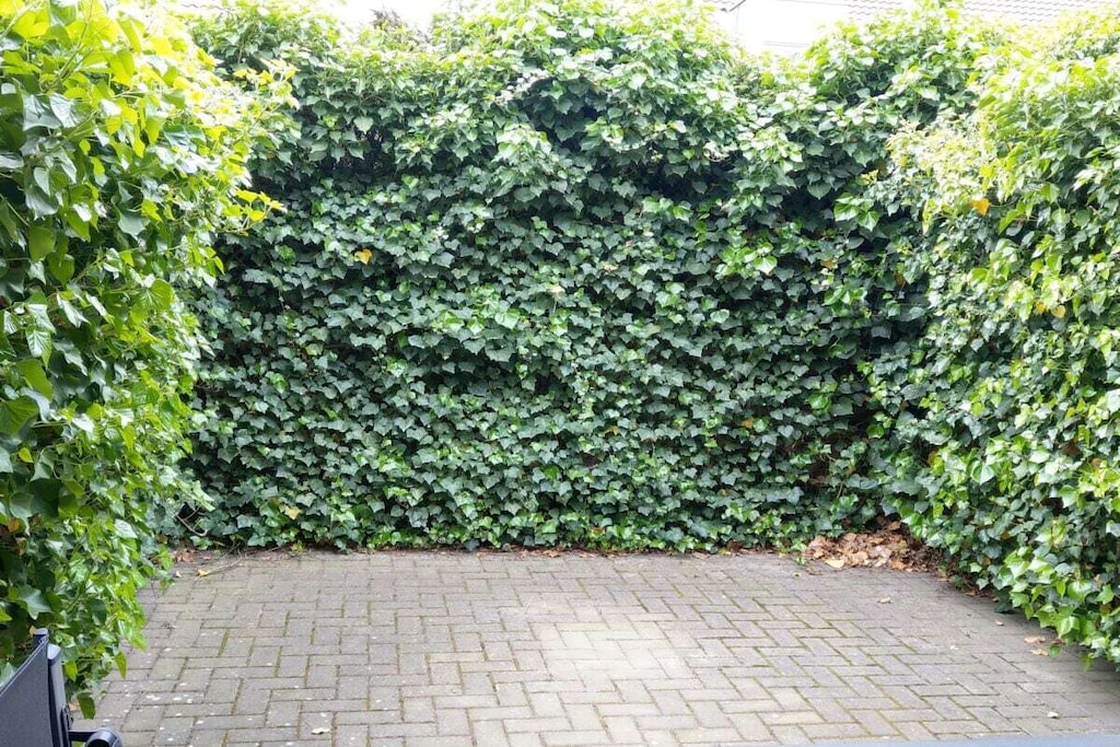 60794 - Niet-getagd