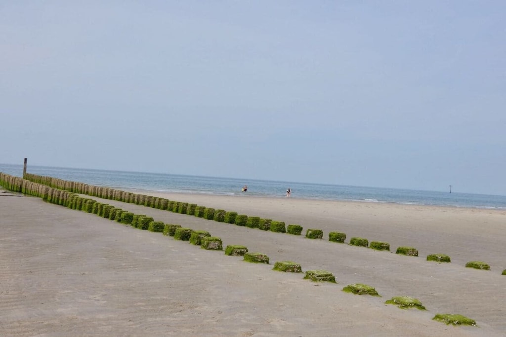 89667 - Niet-getagd