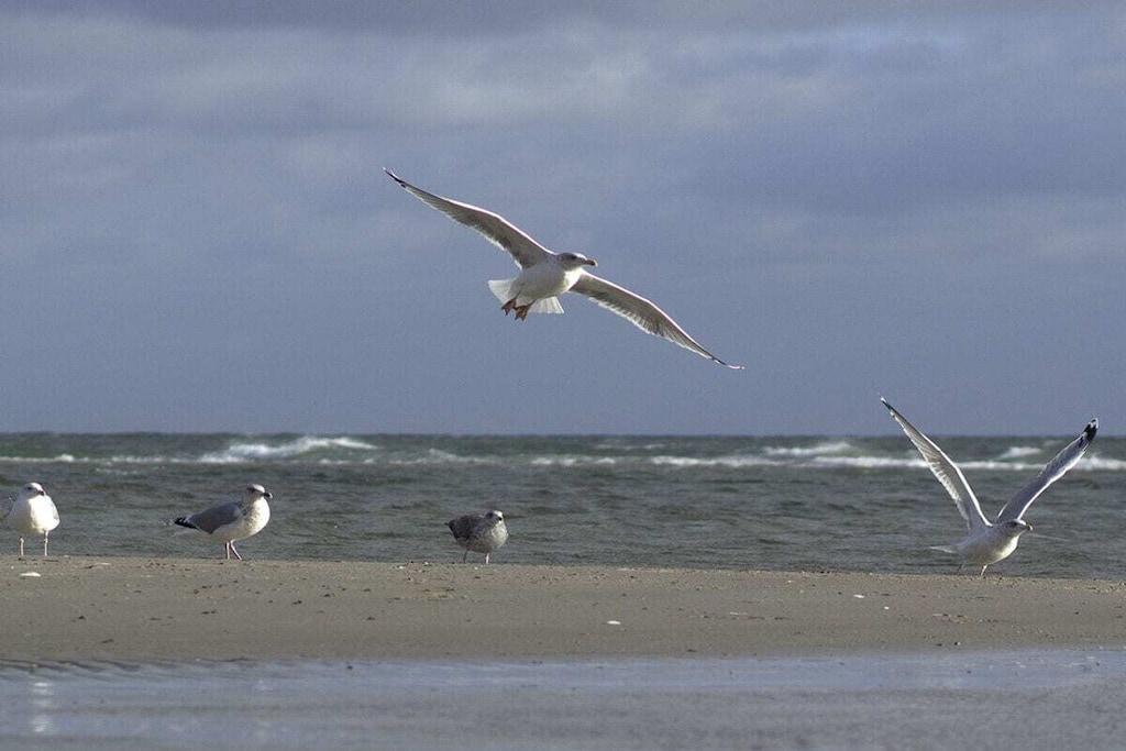 318826 - Niet-getagd