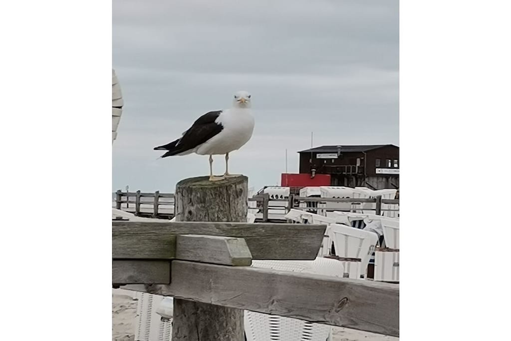 87756 - Niet-getagd