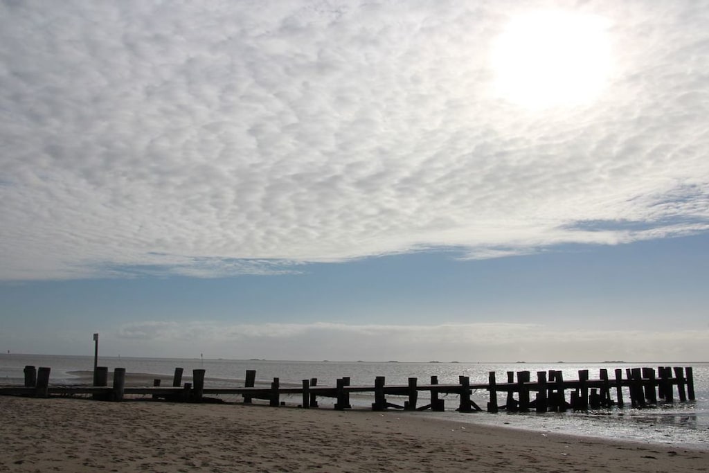 136669 - Niet-getagd