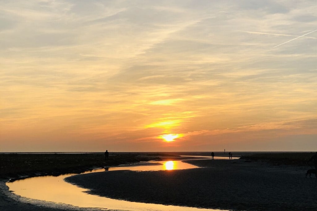 44383 - Niet-getagd