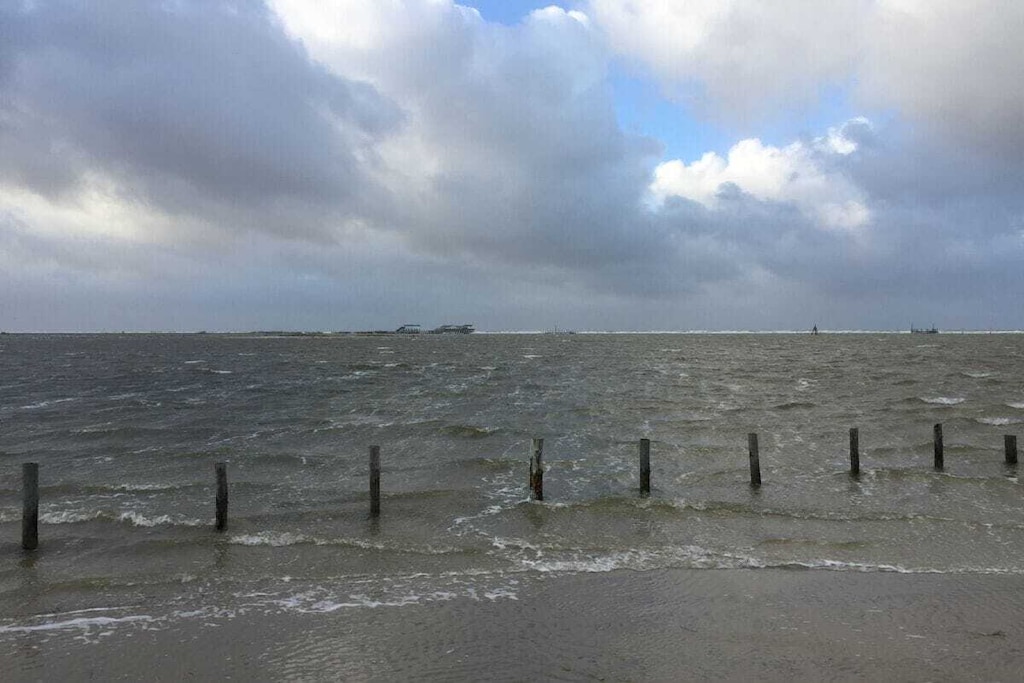 44383 - Niet-getagd