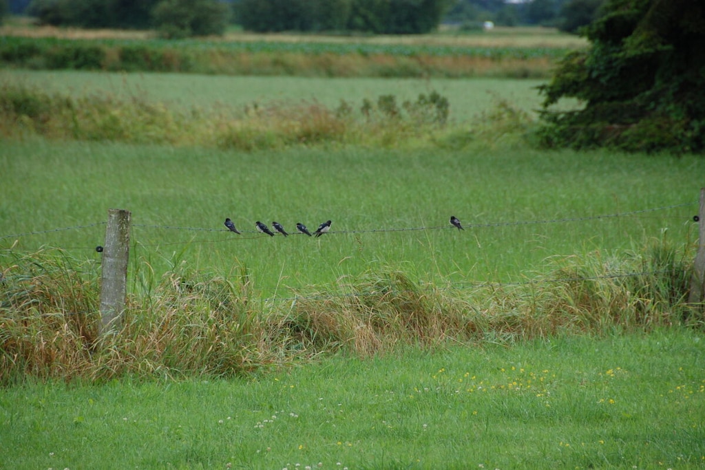 118248 - Niet-getagd