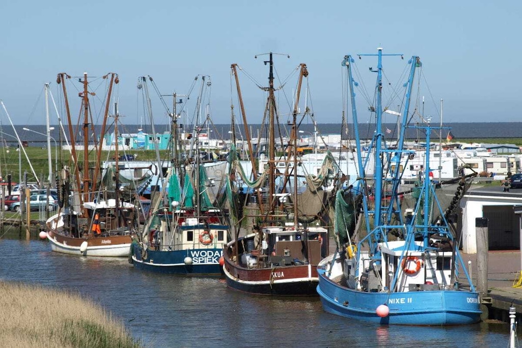 231431 - Niet-getagd