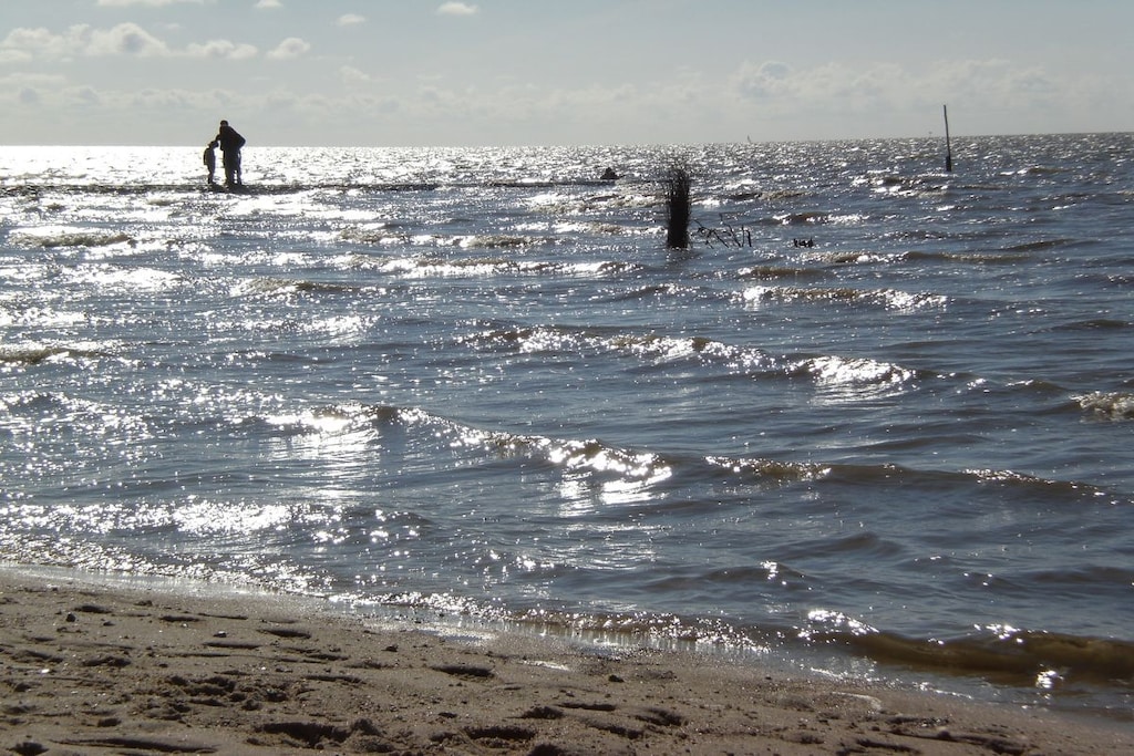231431 - Niet-getagd