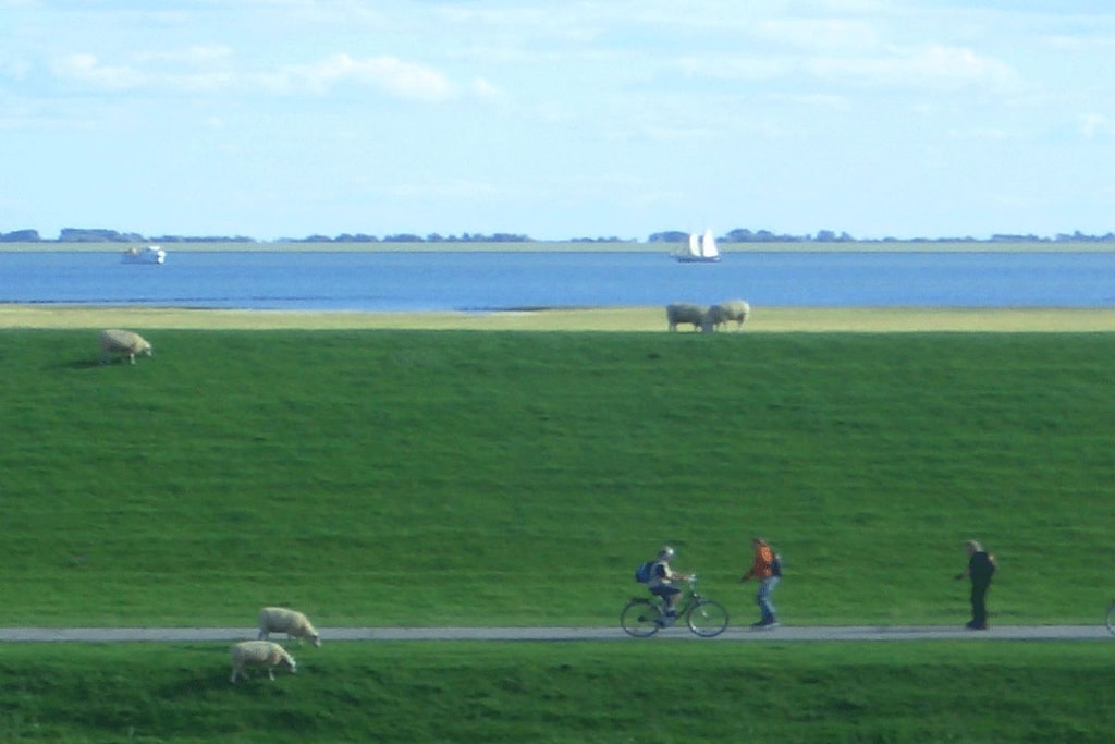 80335 - Niet-getagd
