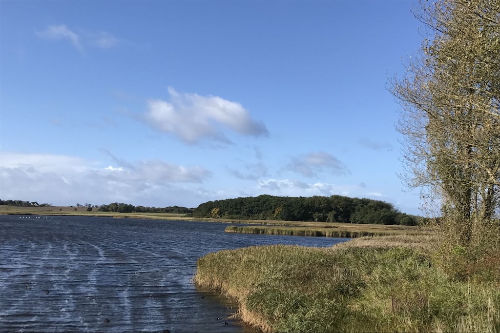 227667 - Niet-getagd