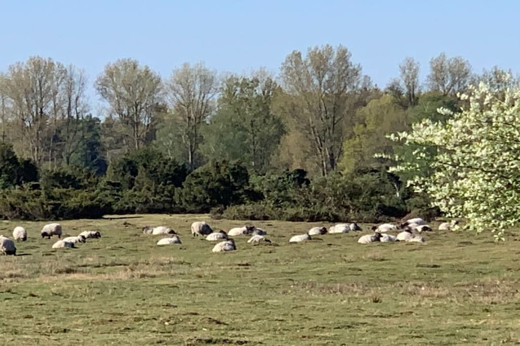 295052 - Niet-getagd