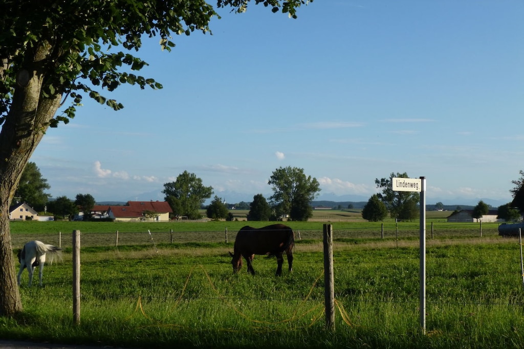 241589 - Nicht zugeordnet