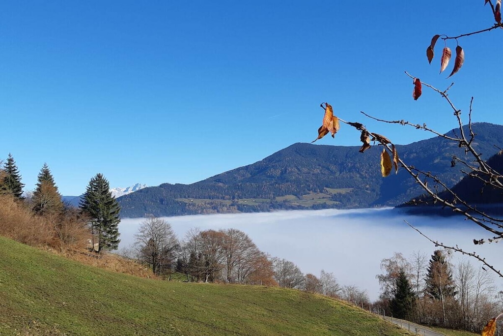 490260