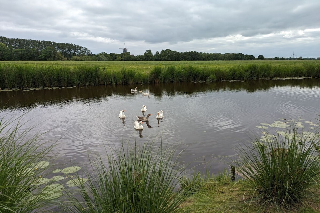 111568 - Niet-getagd