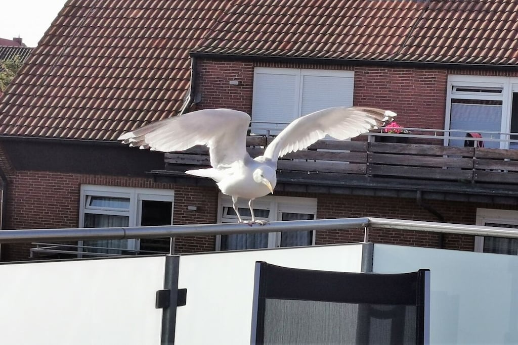 437416 - Niet-getagd