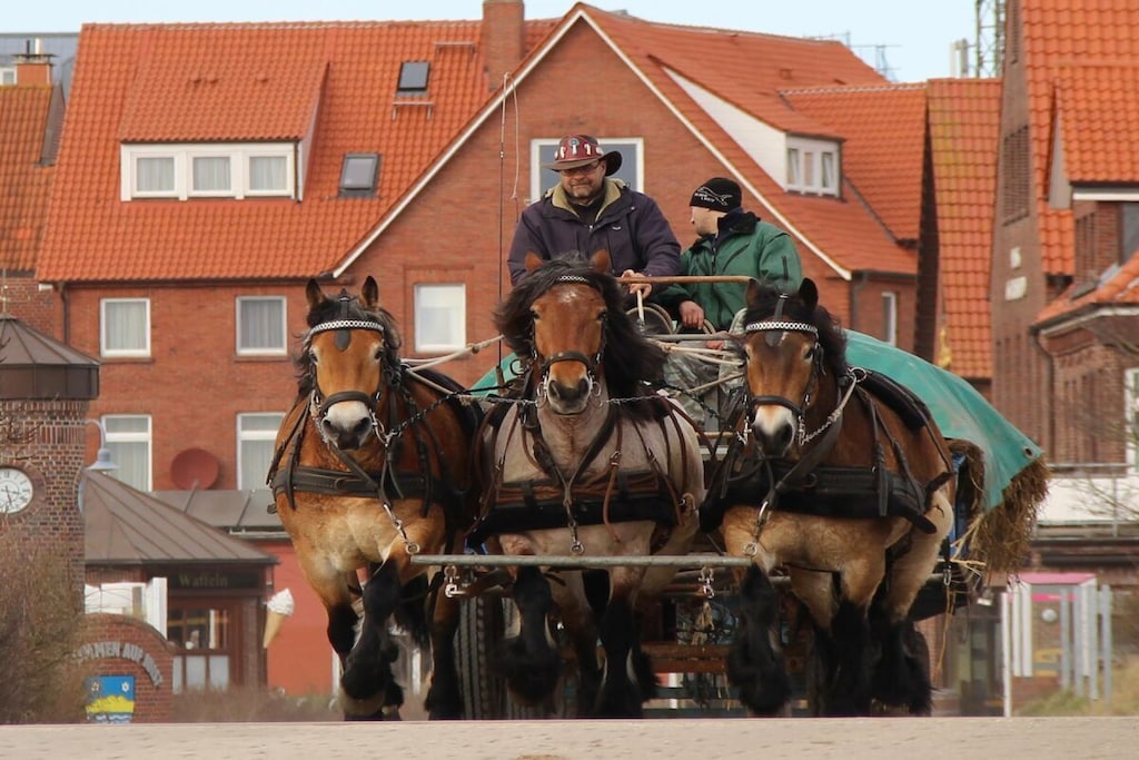 437416 - Niet-getagd