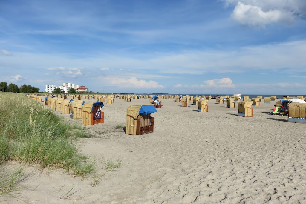 291004 - Niet-getagd