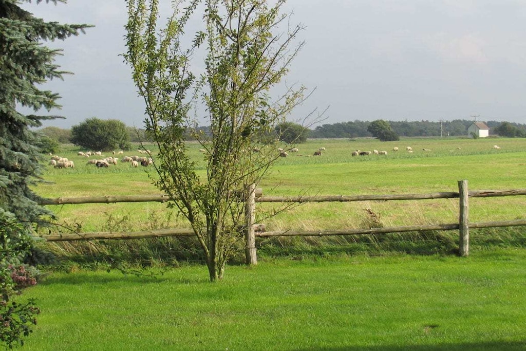 136652 - Niet-getagd