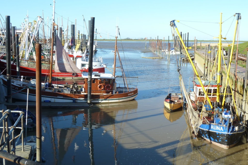 234581 - Niet-getagd
