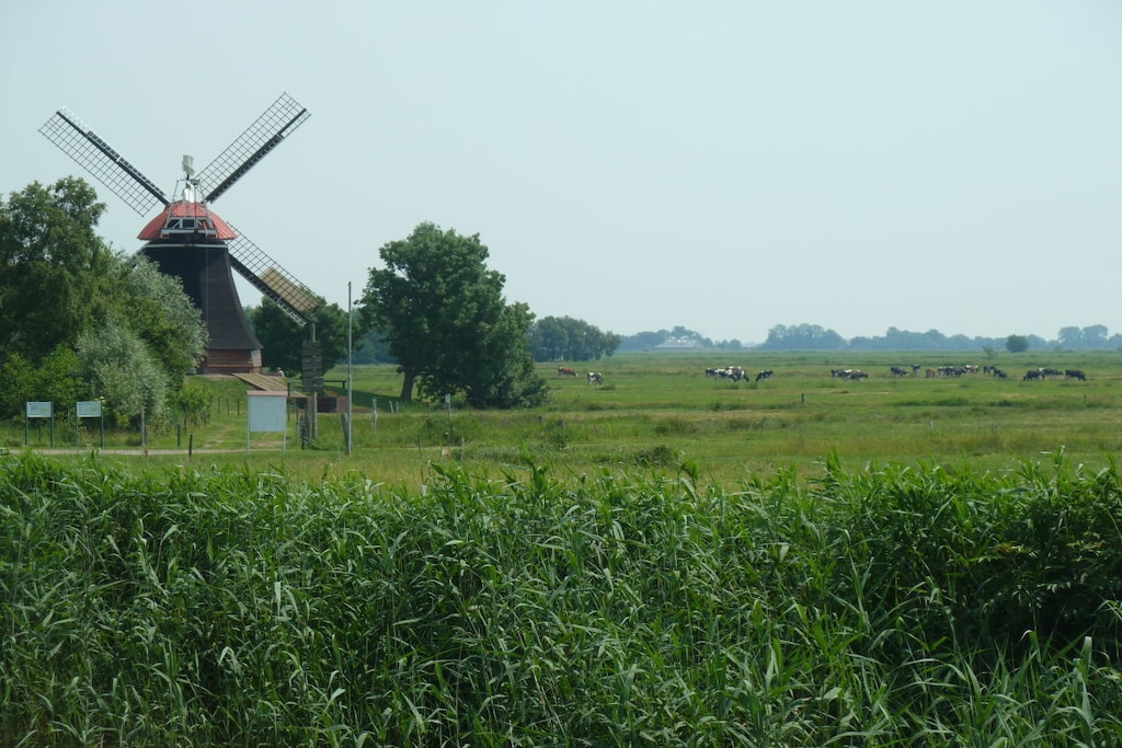 234581 - Niet-getagd