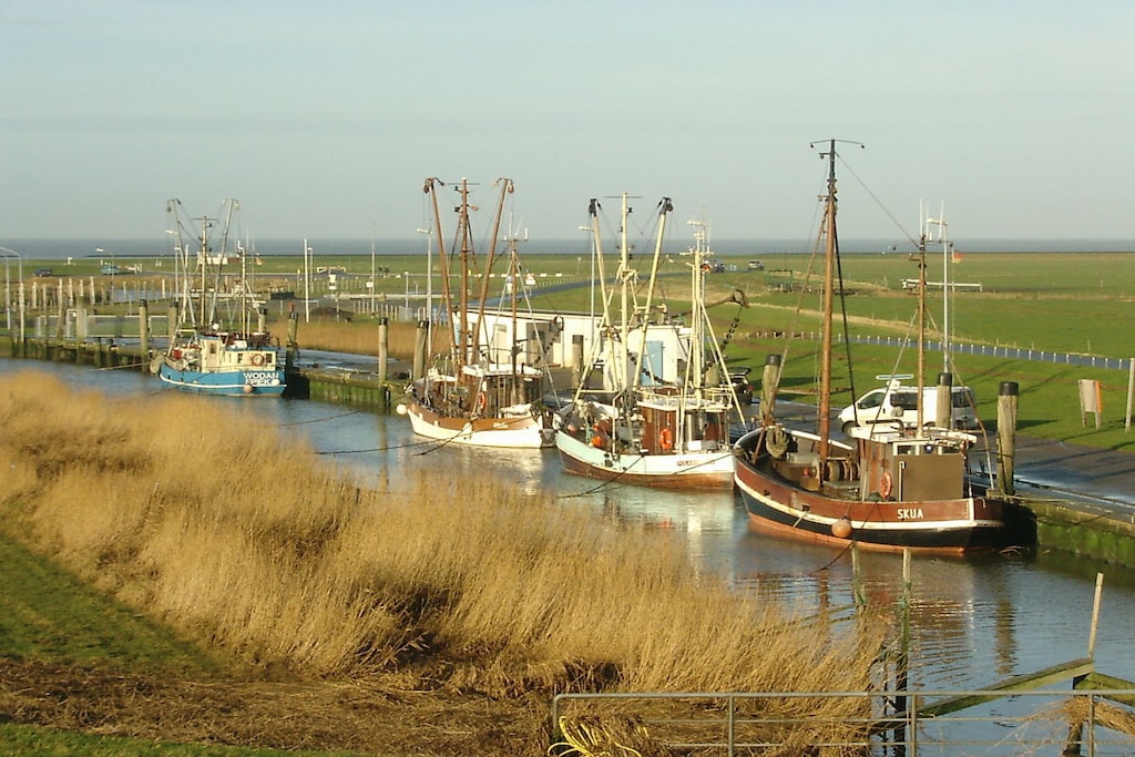 3678 - Niet-getagd