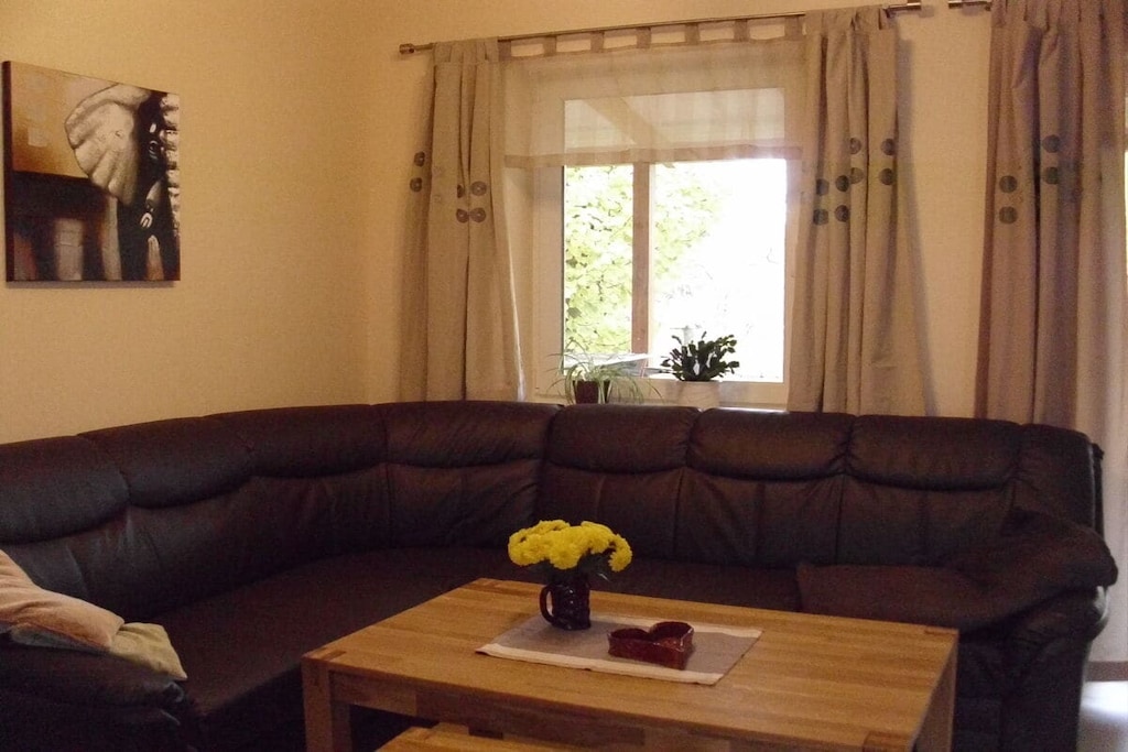 43881