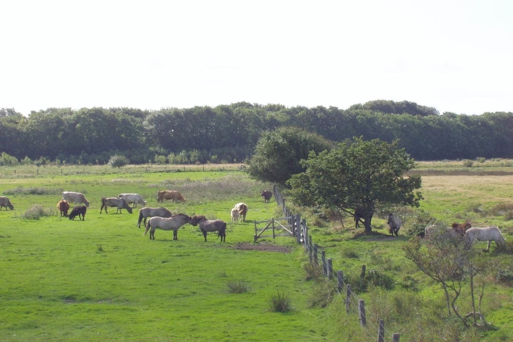 78952 - Niet-getagd