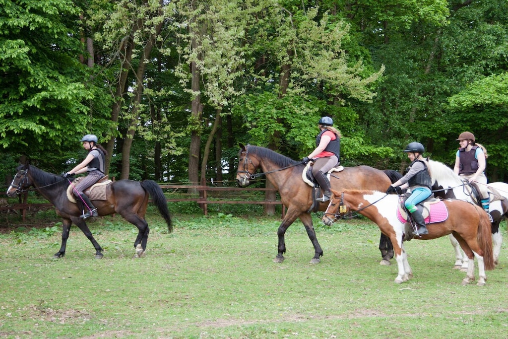 115729 - Niet-getagd