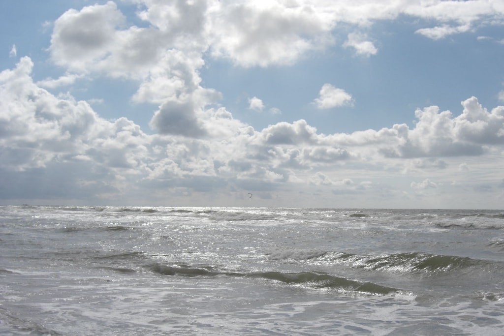 24850 - Niet-getagd