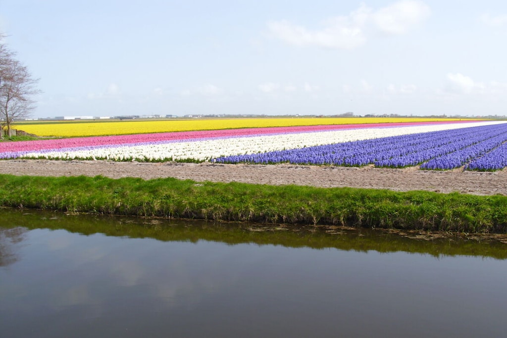 45603 - Niet-getagd