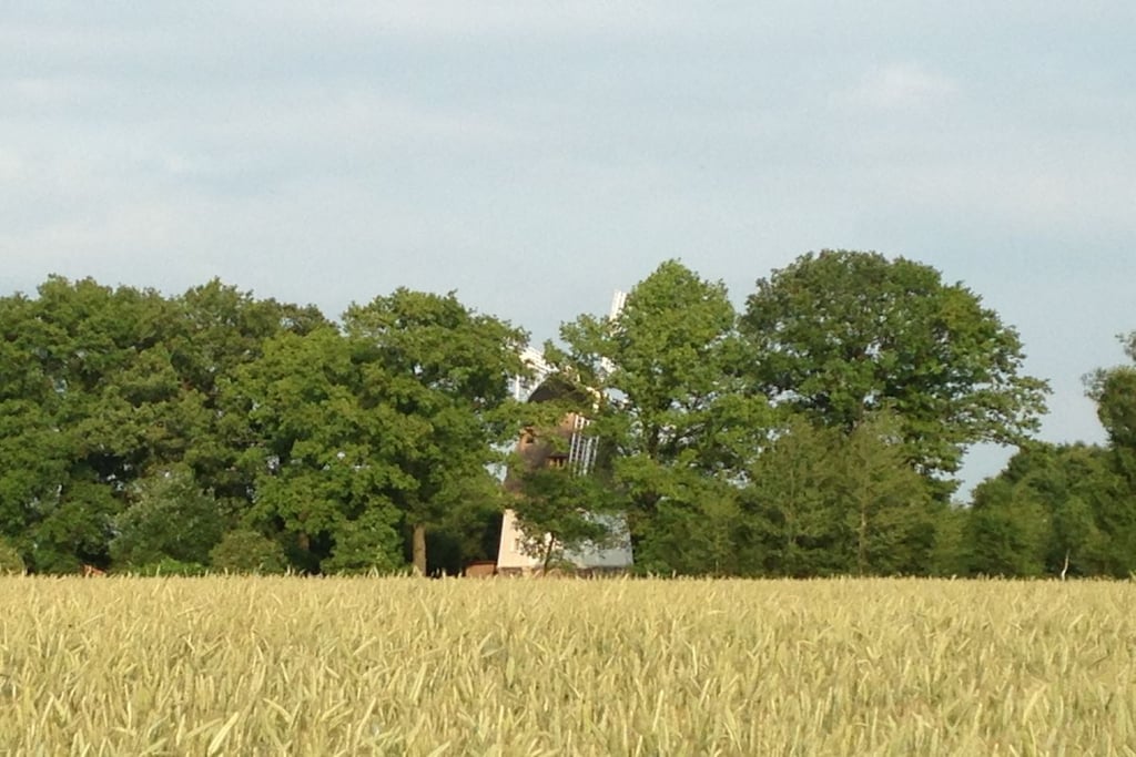 64752 - Niet-getagd