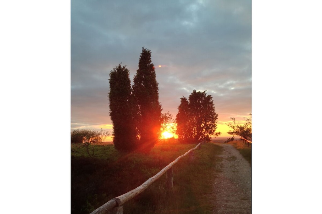 64752 - Niet-getagd