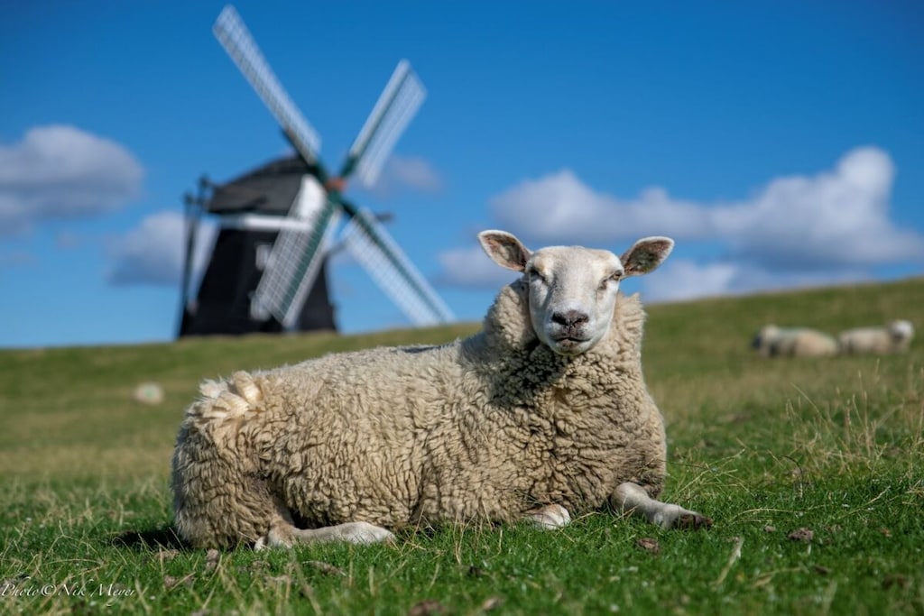 793580 - Niet-getagd