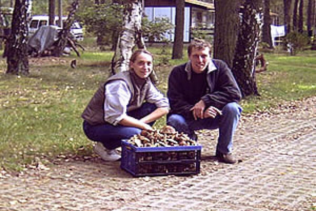 13267 - Niet-getagd