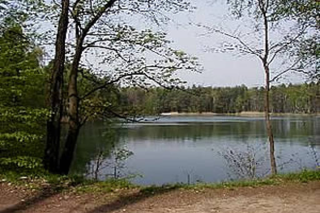 13267 - Niet-getagd