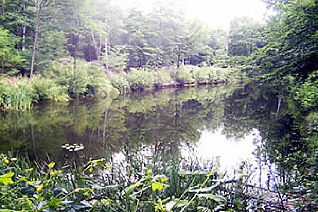 13267 - Niet-getagd
