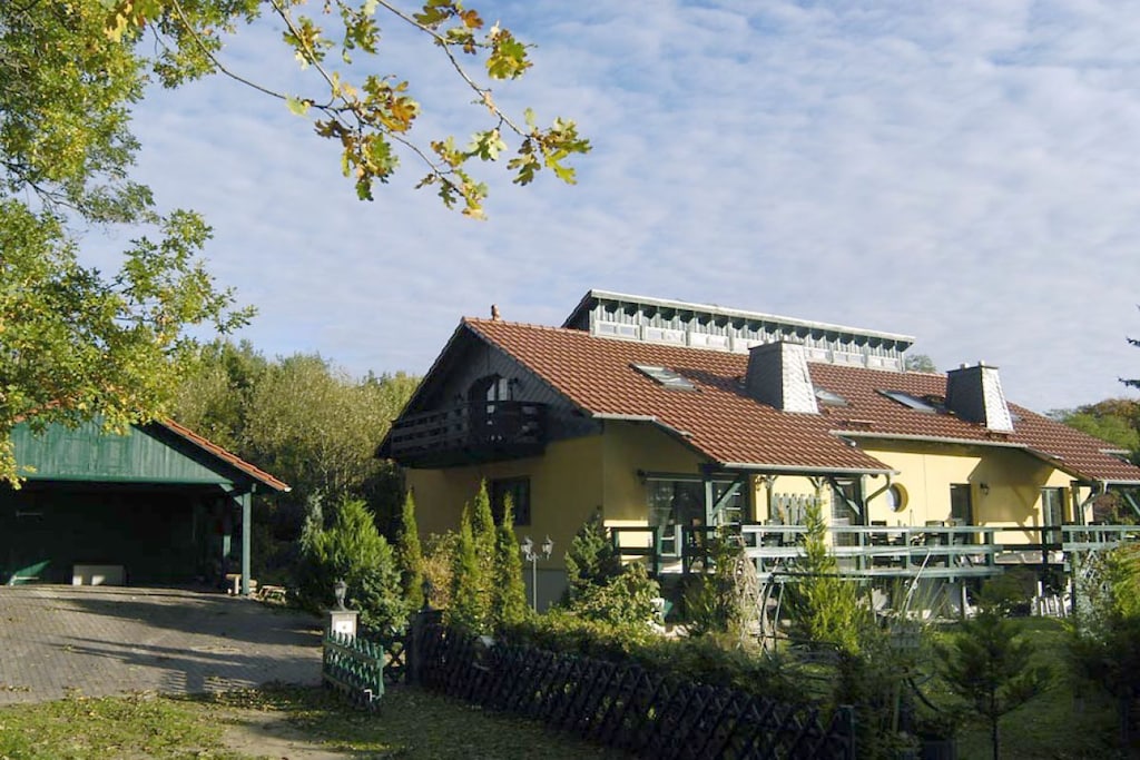 47065