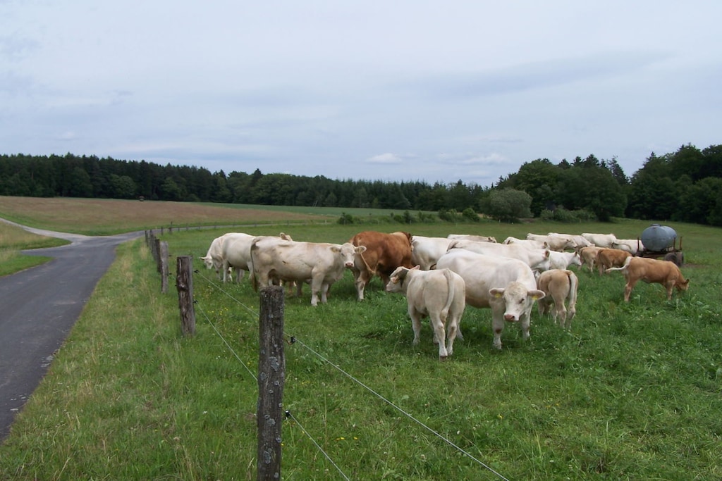 34353 - Niet-getagd