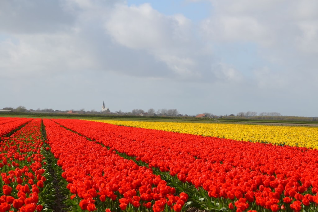 189022 - Niet-getagd