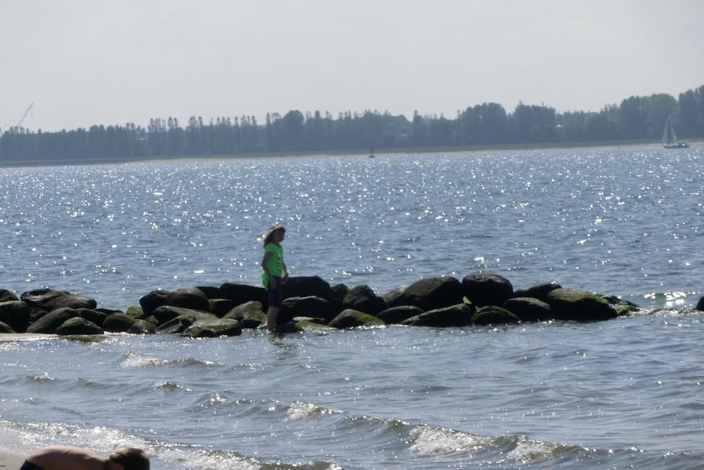 65002 - Niet-getagd