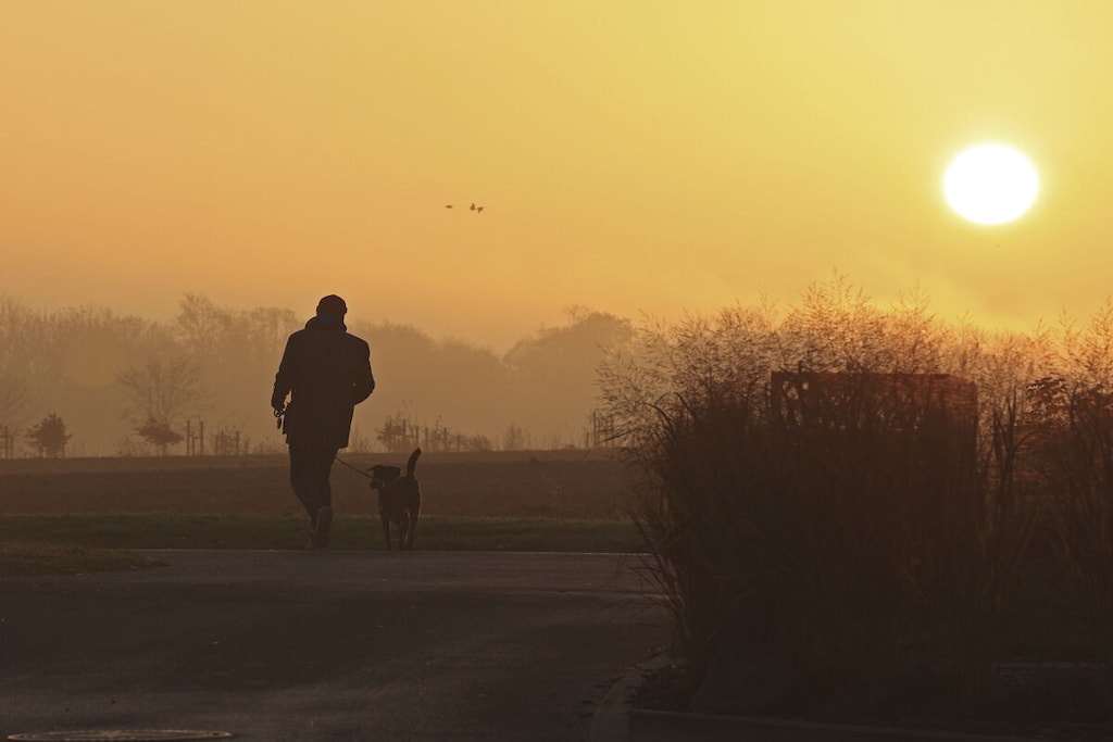 56259 - Niet-getagd