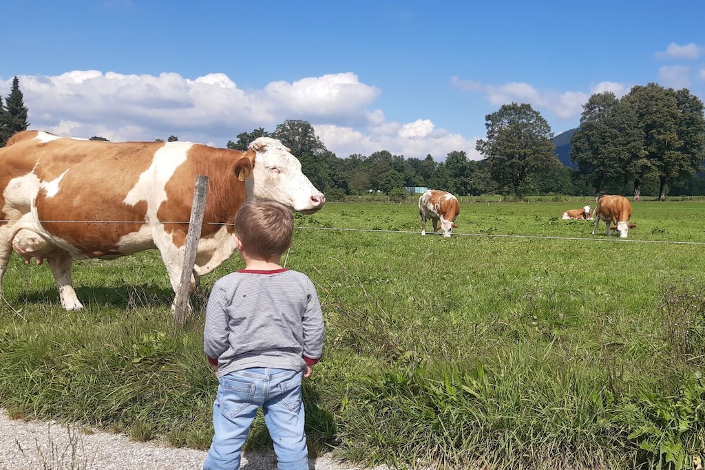 413163 - Niet-getagd