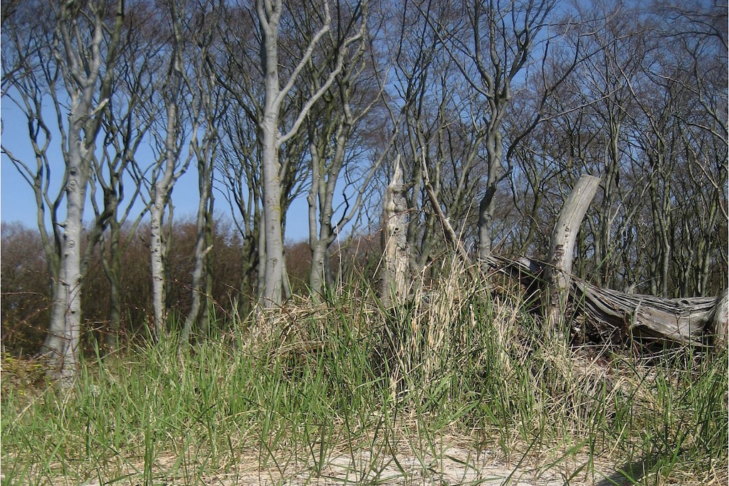 83261 - Niet-getagd