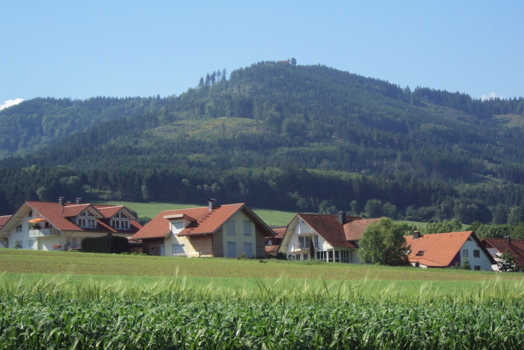 70551