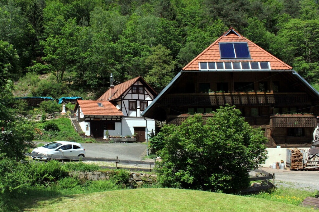 256311 - Non tagué