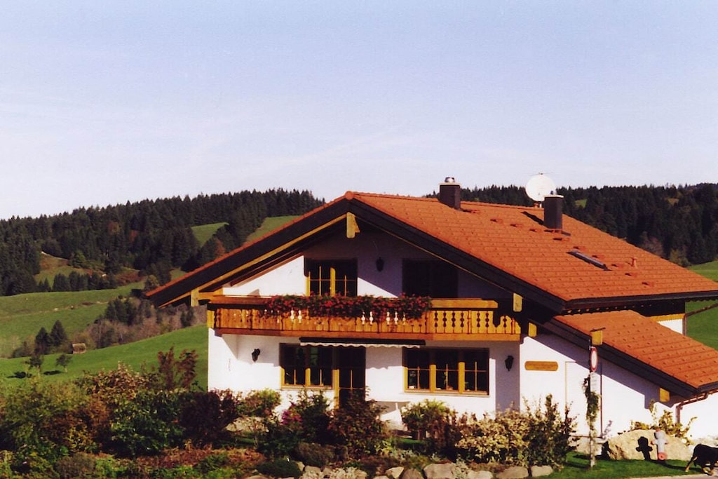 206353