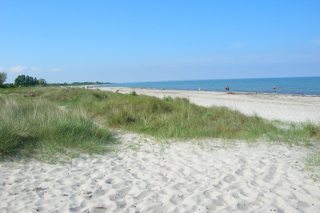 39681 - Niet-getagd