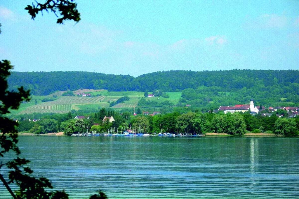 463821 - Non tagué