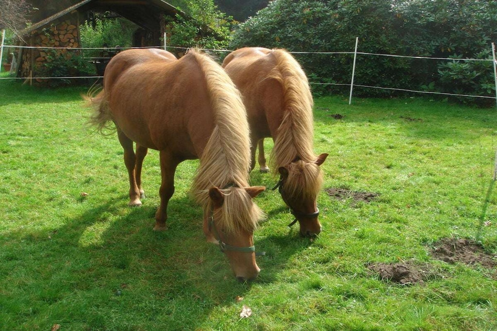 51550 - Niet-getagd