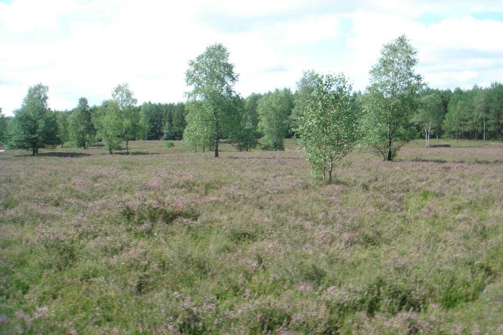 51550 - Niet-getagd
