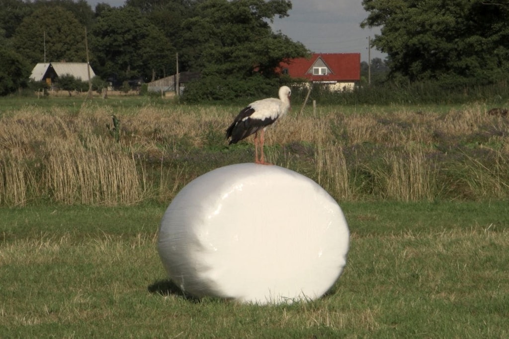 203615 - Niet-getagd
