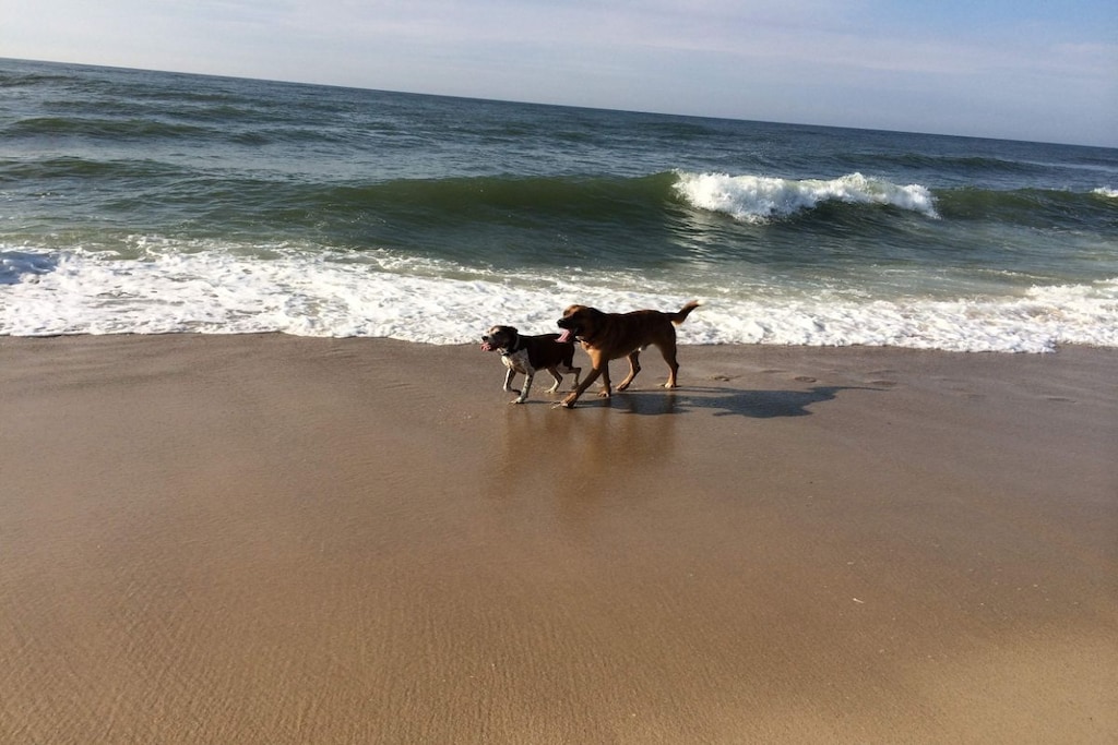 141969 - Nicht zugeordnet